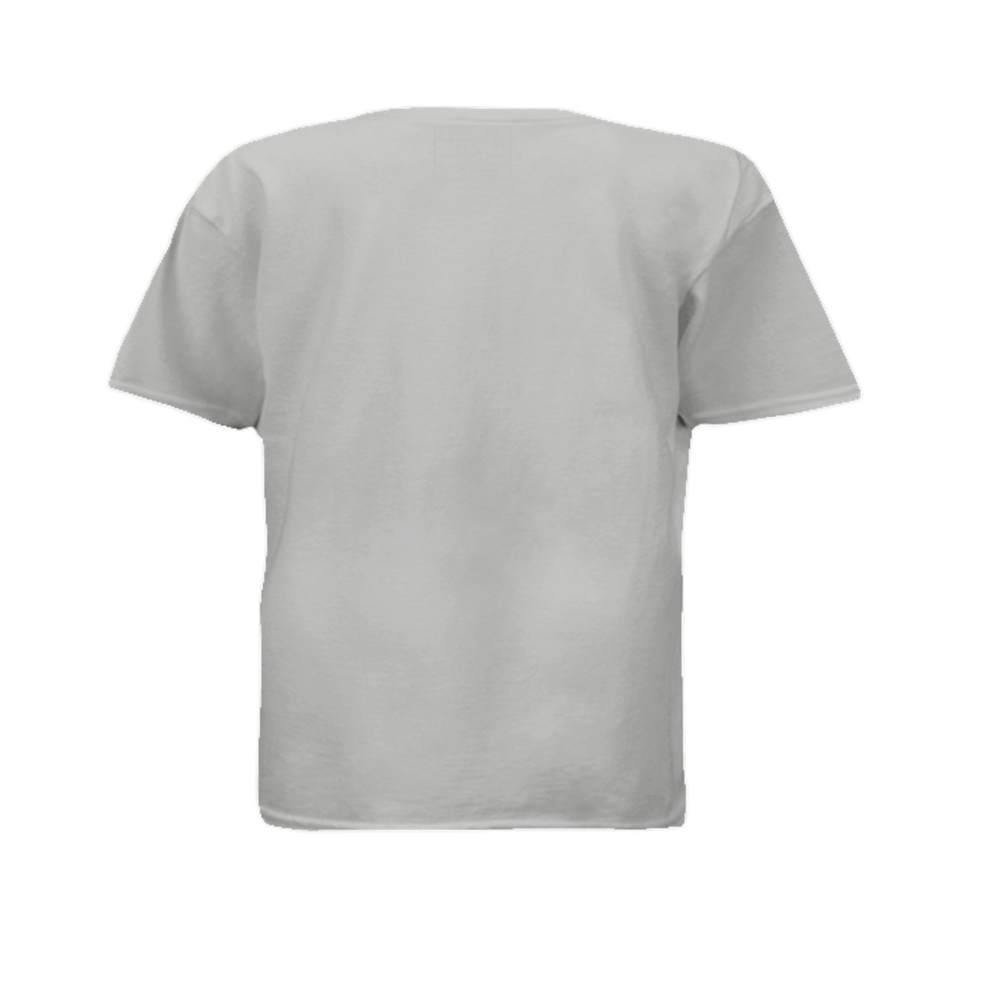 Ash - 3000B - BACK