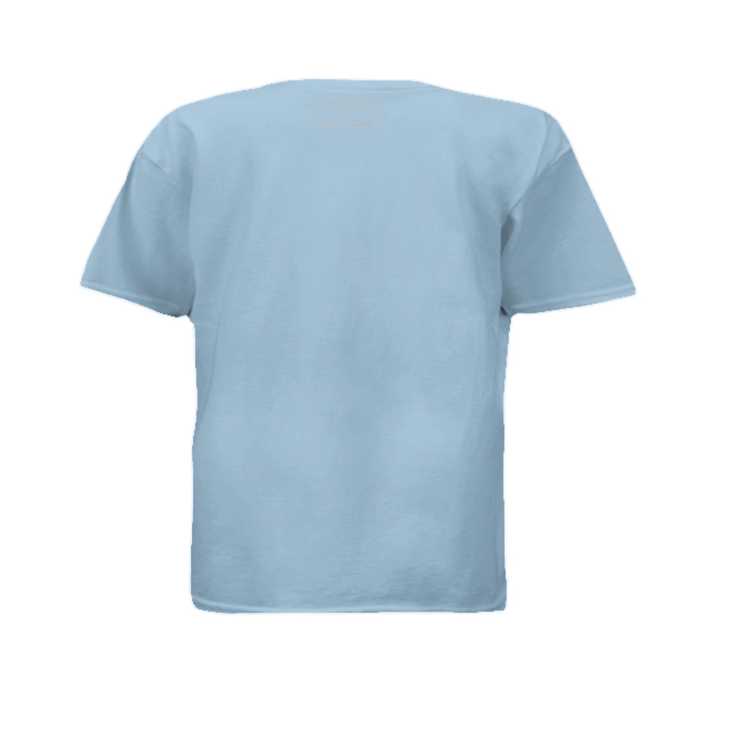 Light Blue - 3000B - BACK